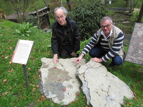 Geo-Lehrpfad im Opel-Zoo ergänzt