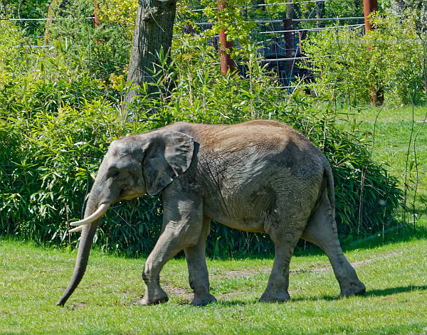 beschwingt am Muttertag: 