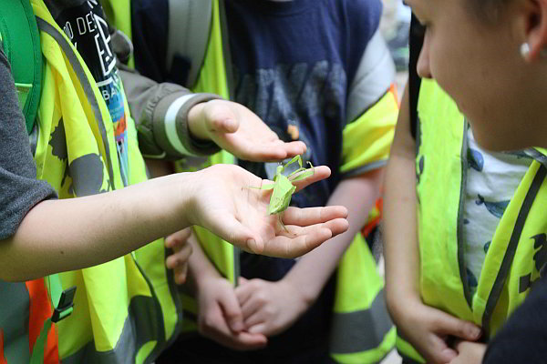 Aktionstage am 20. und 21. Juni im Opel-Zoo