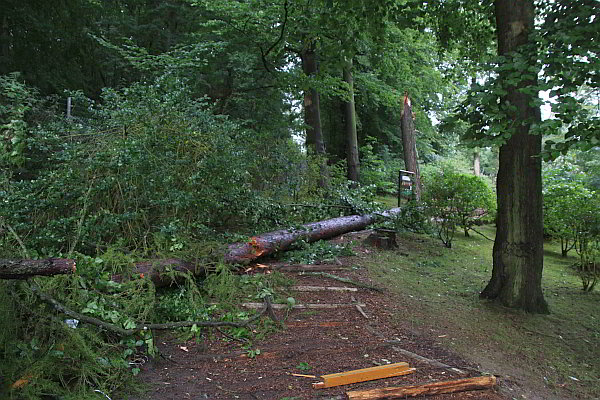 Opel-Zoo: keine Beeinträchtigungen für Besucher nach Unwetter
