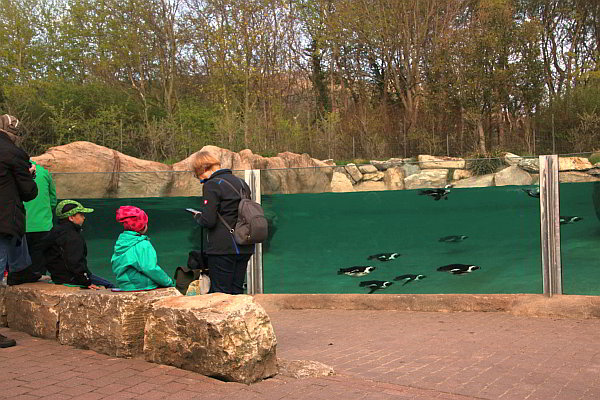 20 Jahre Zoopädagogik im Opel-Zoo