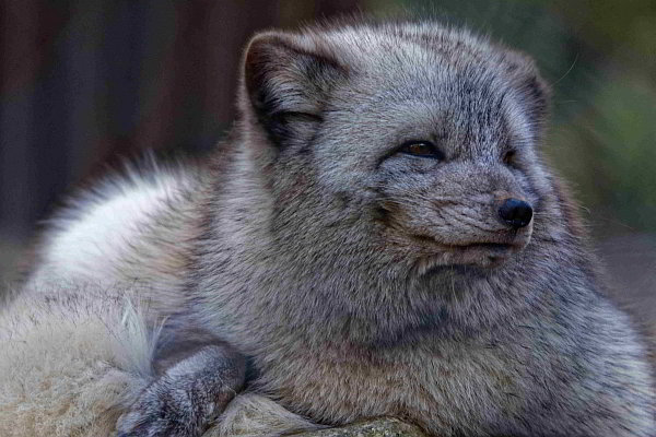 Der Winter kommt – Was nun?