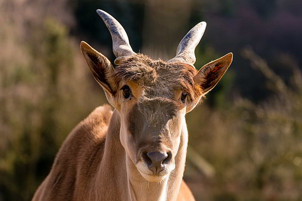 Öffentliche Führungen im März