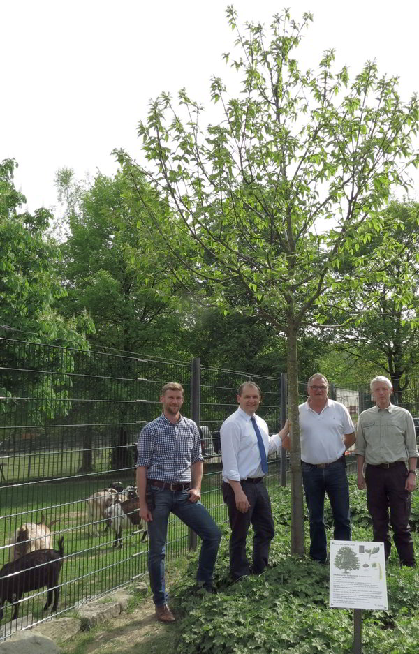 Ergänzung des ‚Lehrpfades Baum des Jahres‘ im Opel-Zoo