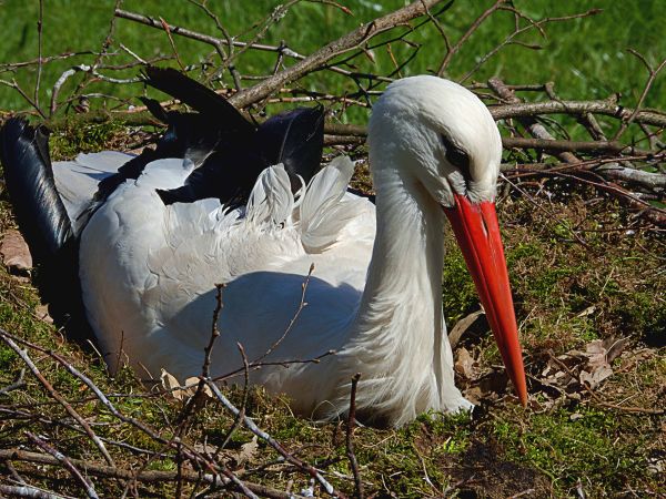 Radklassiker Eschborn Frankfurt am 1. Mai