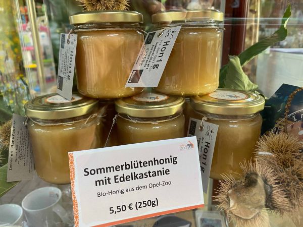 Wieder da: Kastanienhonig aus dem Opel-Zoo