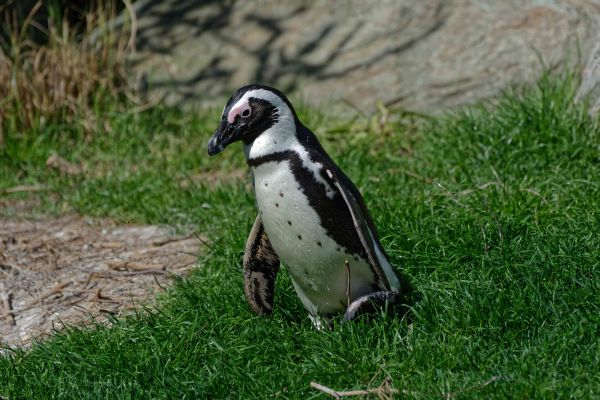 Regelungen für Führungen, Gruppenbesuche und Kindergeburtstage 