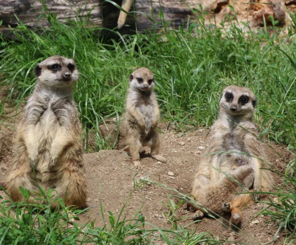 Öffentliche Führungen im Februar