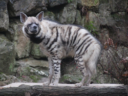 Führungen im November