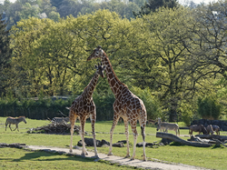 Artenschutz und Forschung hautnah erleben
