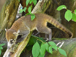 Jahrespressekonferenz zum Geschäftsjahr 2022