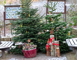 Der Opel-Zoo hat täglich geöffnet!