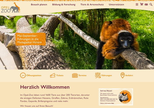 Frühjahrsputz bei den digitalen Medien