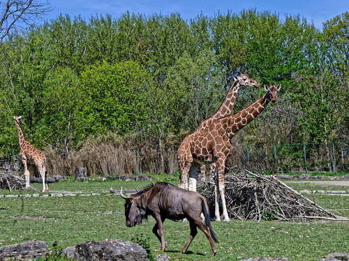 Öffentliche Führung am 13.5.2023, 15 Uhr