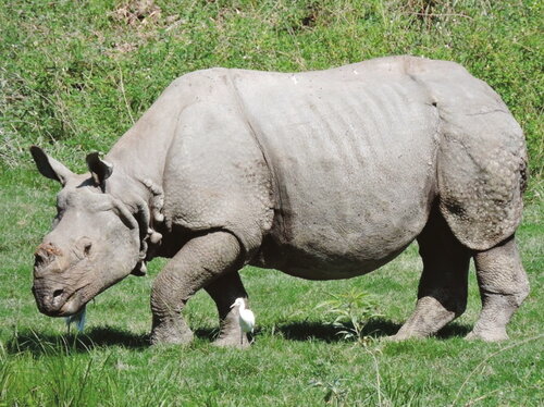 Investition in die Zukunft