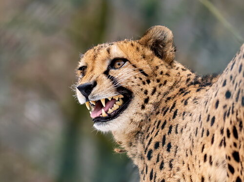 Öffentliche Führung am 13.1.2024