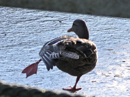 Öffentliche Führung am 25.1.25 um 15 Uhr