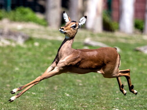 Radklassiker am 1. Mai 2024