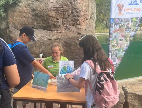 Aktionstage am 2. und 3. Juli 2024 im Opel-Zoo