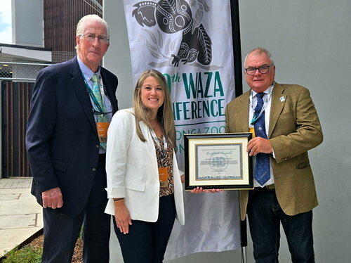 Internationale Auszeichnung