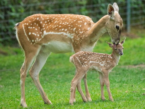 Die Natur und ich – Umweltbildung