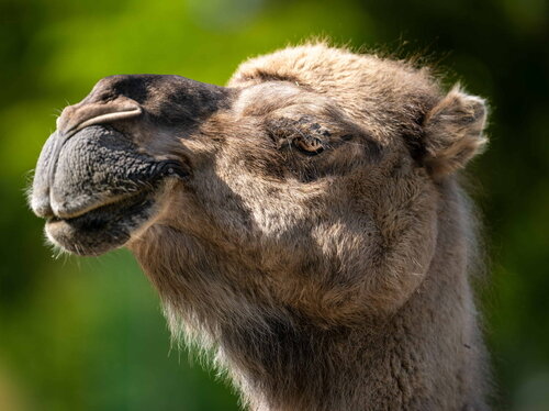 Neues Angebot ab 5.8.2025