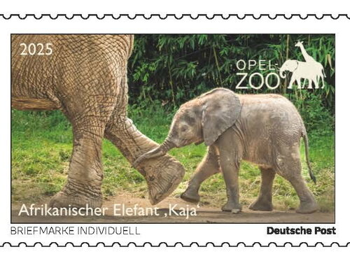 100 Tage Elefanten-Jungtier „Kaja“