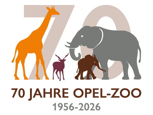 70 JAHRE_OZ_2026_RGB.jpg
