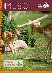 Meso 48_2024_1_24_titel web.jpg
