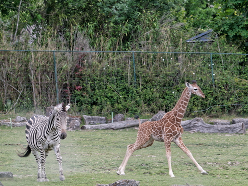 Ab Montag, 2. Juni  2025