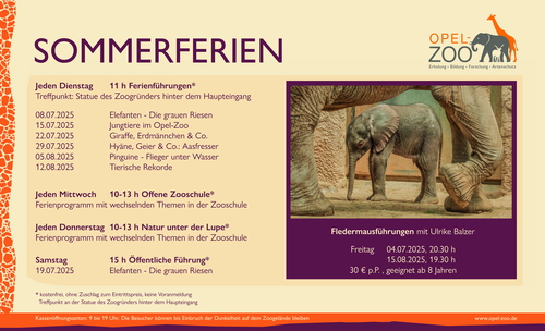 Druck_neu_Banner_sommerferien_2025_230x140cm 2 Kopie 5.jpg