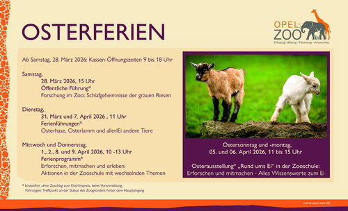 Banner_Ostern_2026.jpg